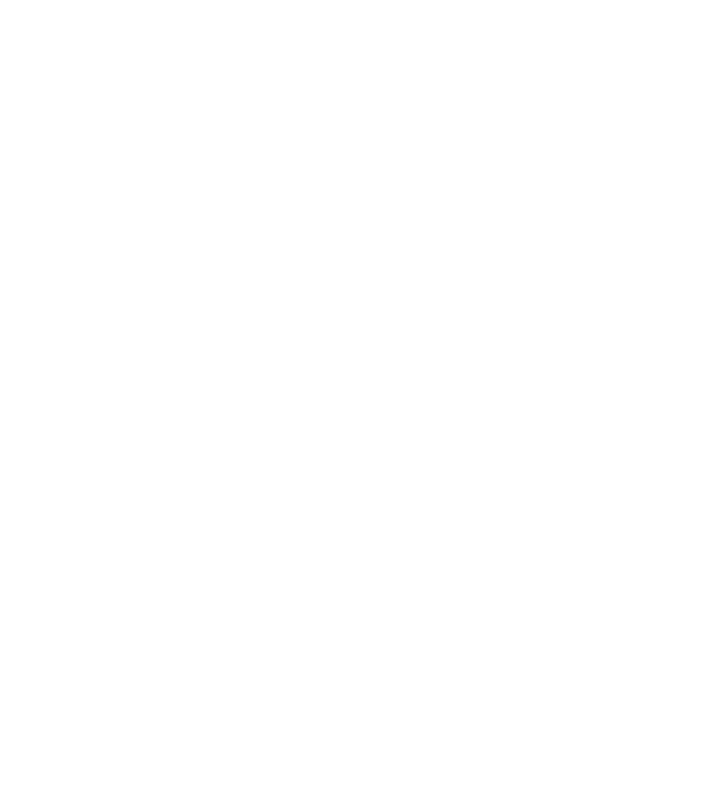 Hotel delle Palme